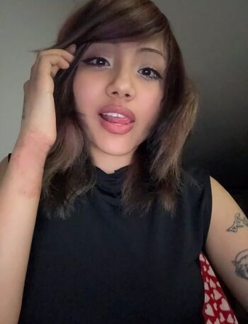 nomamesnico