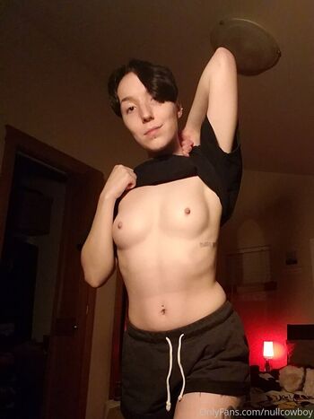 nullcowboy