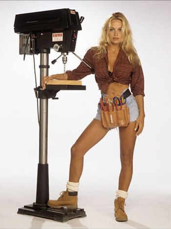 Pamela Anderson
