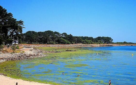 Full leaked Pat castillo private onlyfans photo