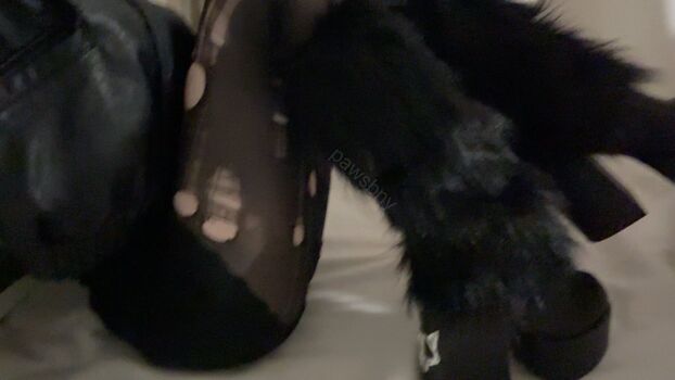 Full leaked Pawsbny page private onlyfans photo