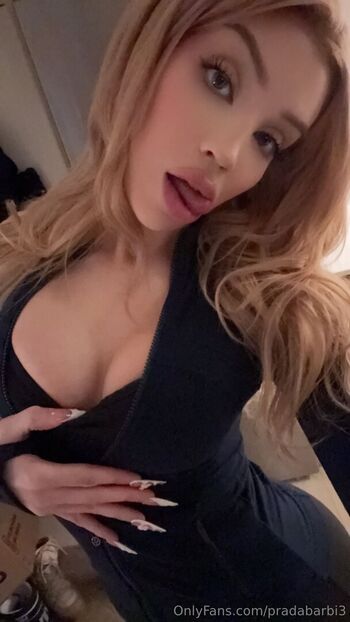 Pradabarbi3