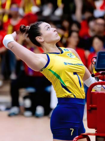 Rosamaria Montibeller