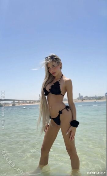 Sandylein