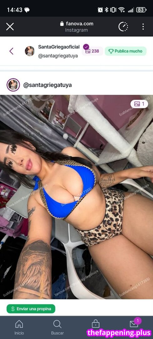 Santagriega Oficial
