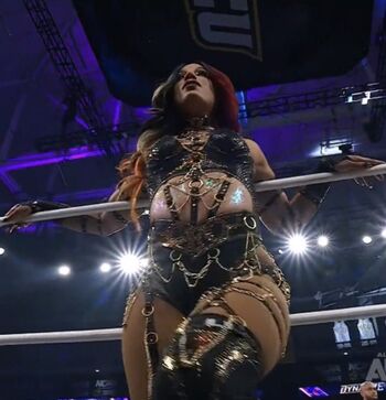 Full leaked Sasha banks page private onlyfans photo