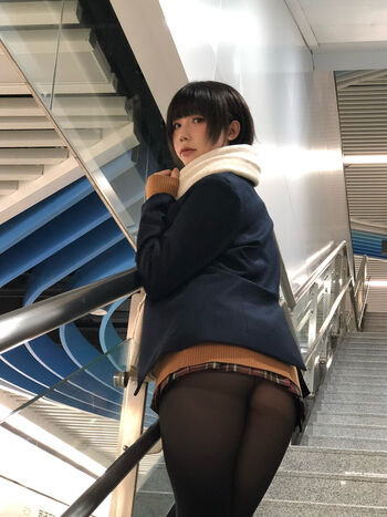 shiliuyelei
