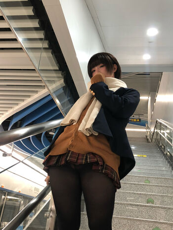 shiliuyelei