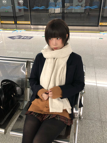 shiliuyelei