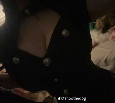 Shoothedogs
