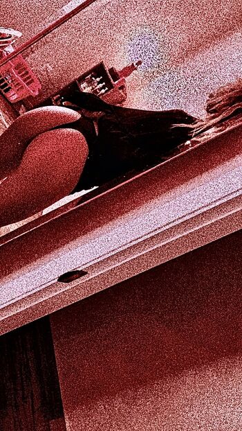 Full leaked Sieravictoria private onlyfans photo