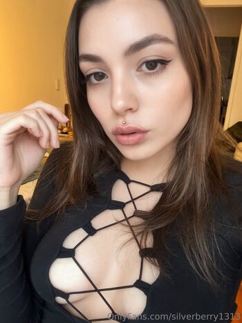 silverberry1313