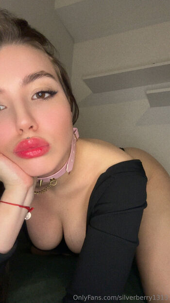 silverberry1313