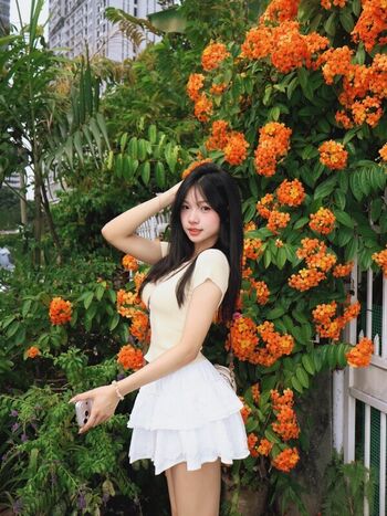 Sssxin_n