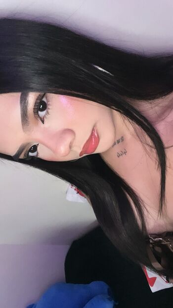 steffsdaily
