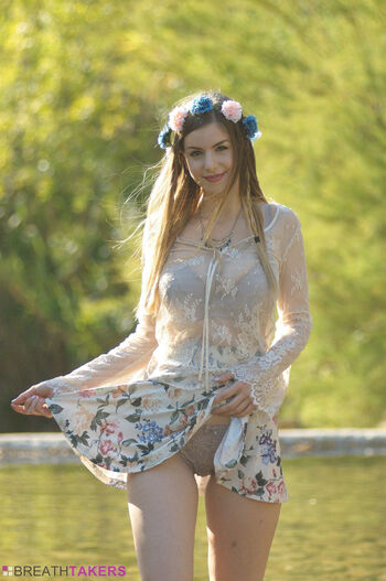 Stella Fairy