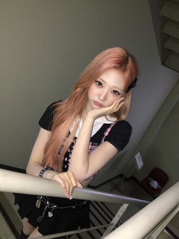 Stella