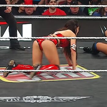 The Bella Twins