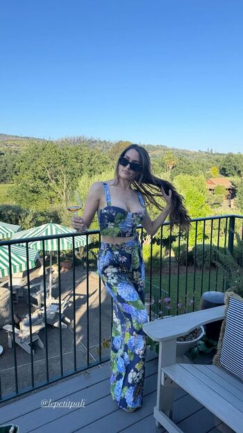The Bella Twins