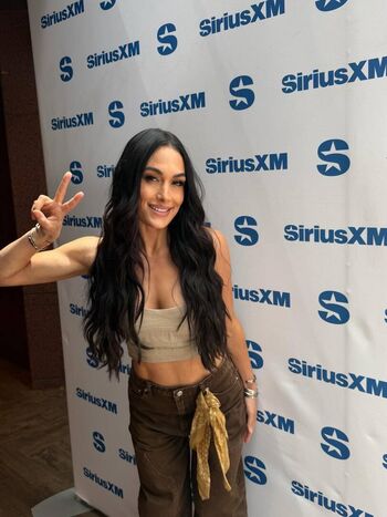 The Bella Twins