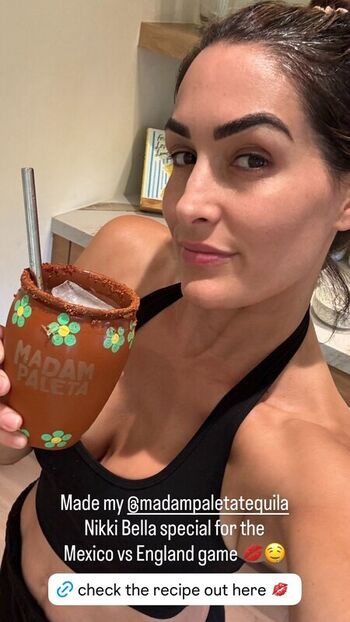 Full leaked The bella twins private onlyfans photo