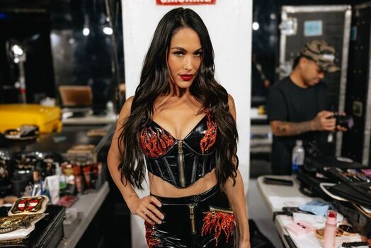 The Bella Twins