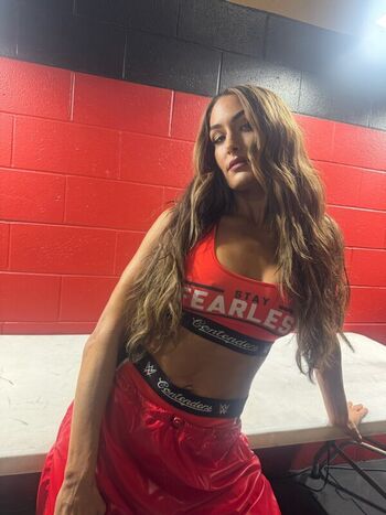 Full leaked The bella twins page private onlyfans photo