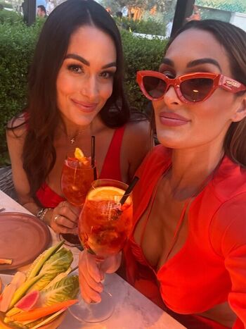 Full leaked The bella twins page private onlyfans photo