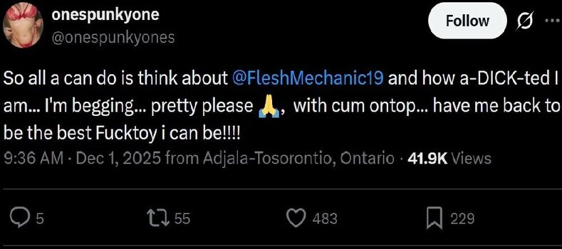 thefleshmechanic