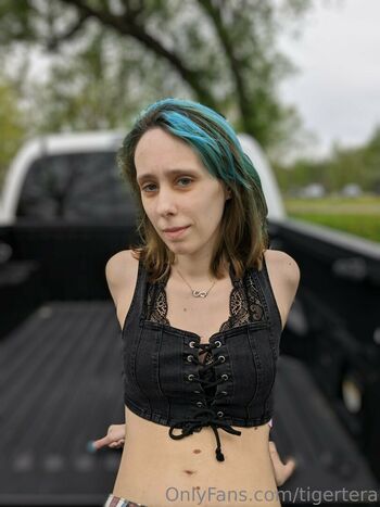 tigertera