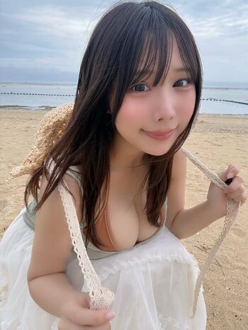 Towa Rabbit
