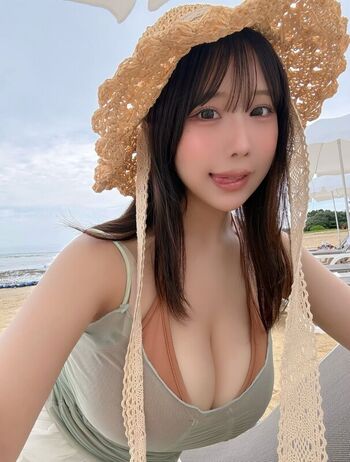 Towa Rabbit