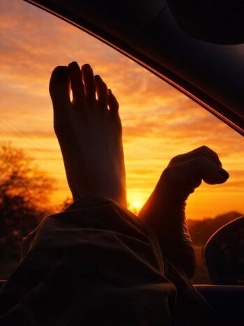 Tray.fitfever | Tray Soe