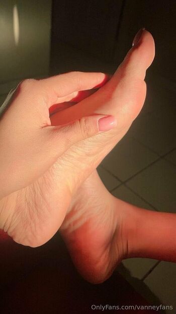 vanneyfans