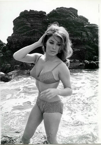 Vintage Sexy Celebs