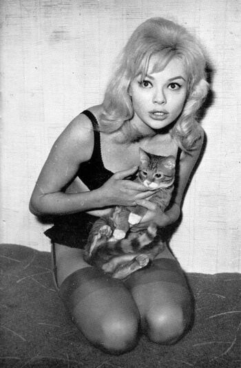 Vintage Starlets