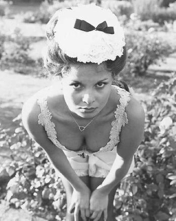 Vintage Starlets