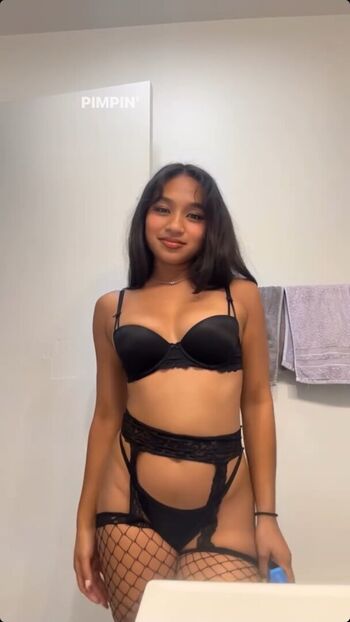 Visual Vixen