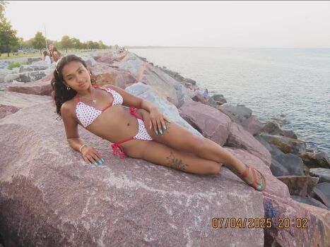 Visual Vixen
