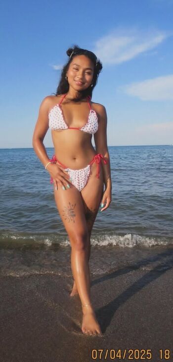 Visual Vixen