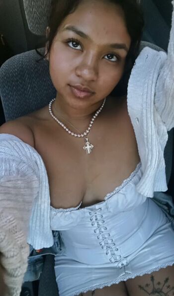 Visual Vixen