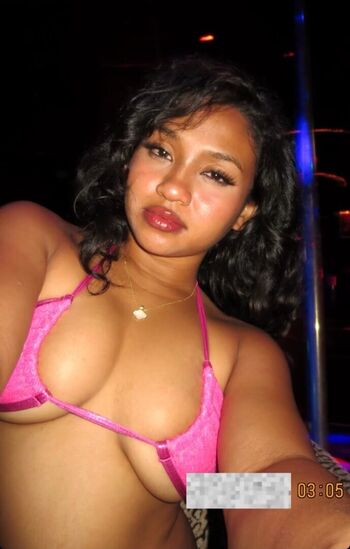 Visual Vixen
