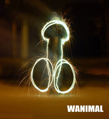 Wanimal Models