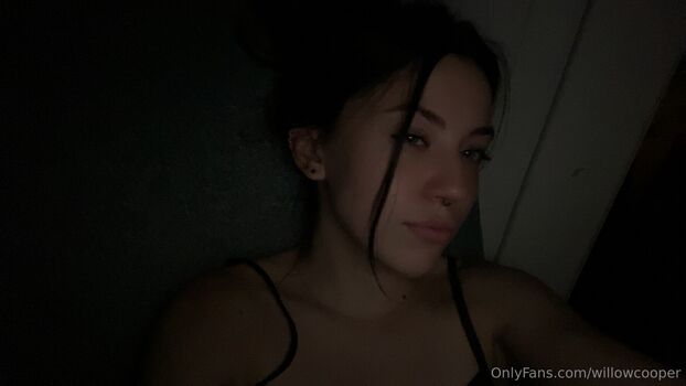 willowcooper