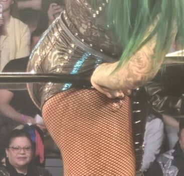 WWE Shotzi