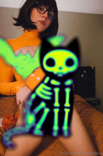 xeldabee