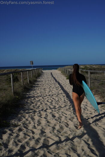 Yasmin.forest