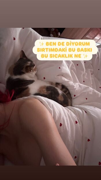 Full leaked Zeynepiksy zeynep private onlyfans photo